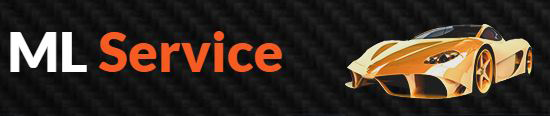 ml-service